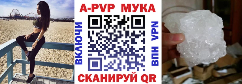 дарк нет Telegram Можга Alpha PVP крисы CK kraken вход
