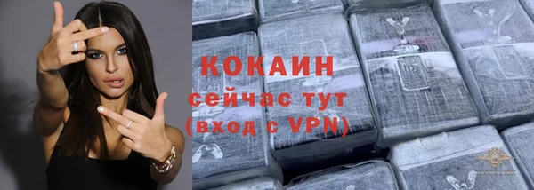 индика Горнозаводск