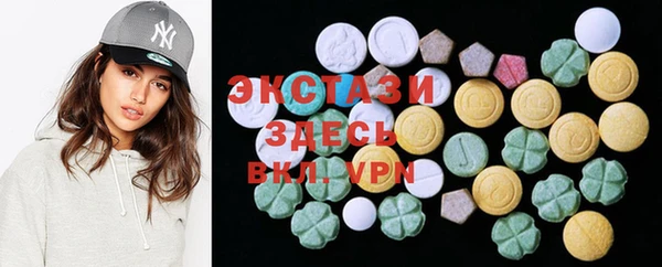 индика Горнозаводск