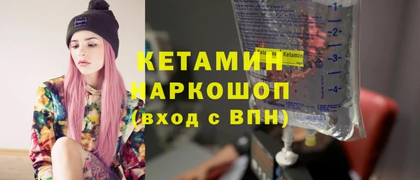 индика Горнозаводск