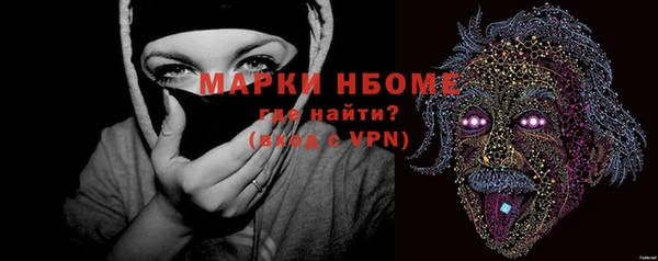 индика Горнозаводск