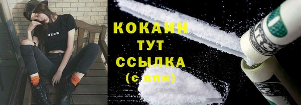 индика Горнозаводск