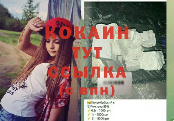 индика Горнозаводск