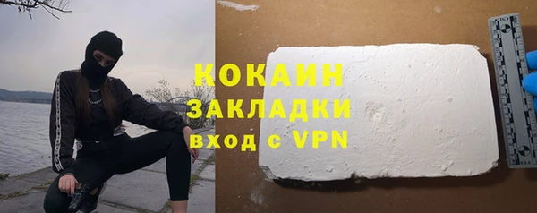 индика Горнозаводск