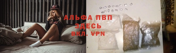 индика Горнозаводск