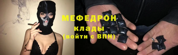 индика Горнозаводск