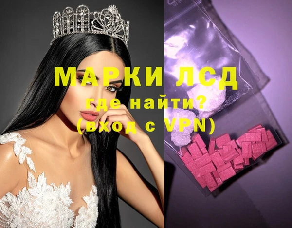индика Горнозаводск
