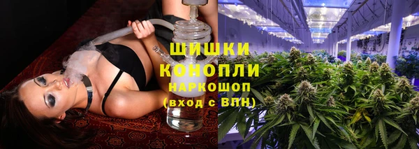 индика Горнозаводск