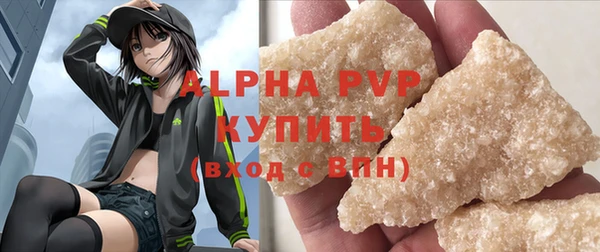 индика Горнозаводск
