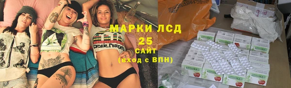 индика Горнозаводск