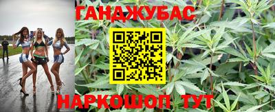 СК Кингисепп