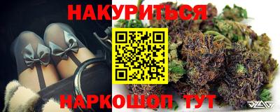 СК Кингисепп