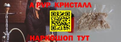 СК Кингисепп