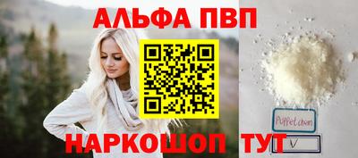 СК Кингисепп