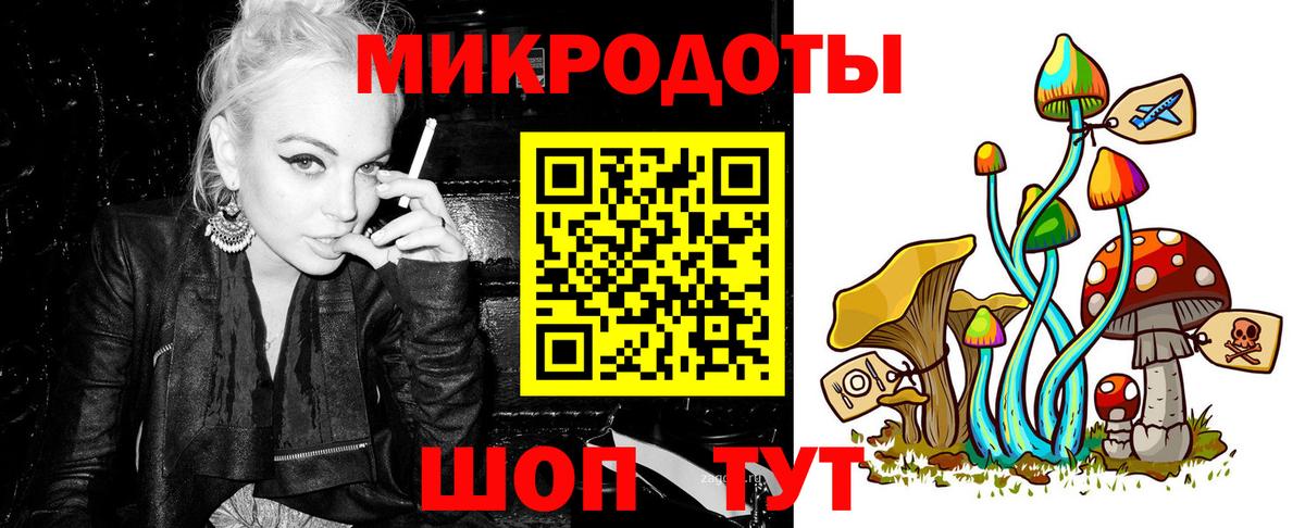 Псилоцибиновые грибы Psilocybine cubensis Можга