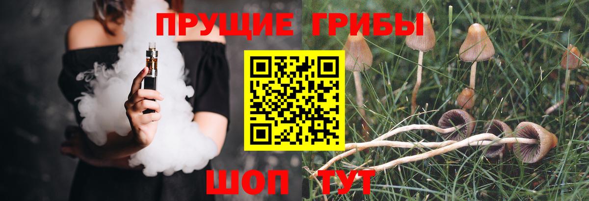 Галлюциногенные грибы Magic Shrooms  Можга 